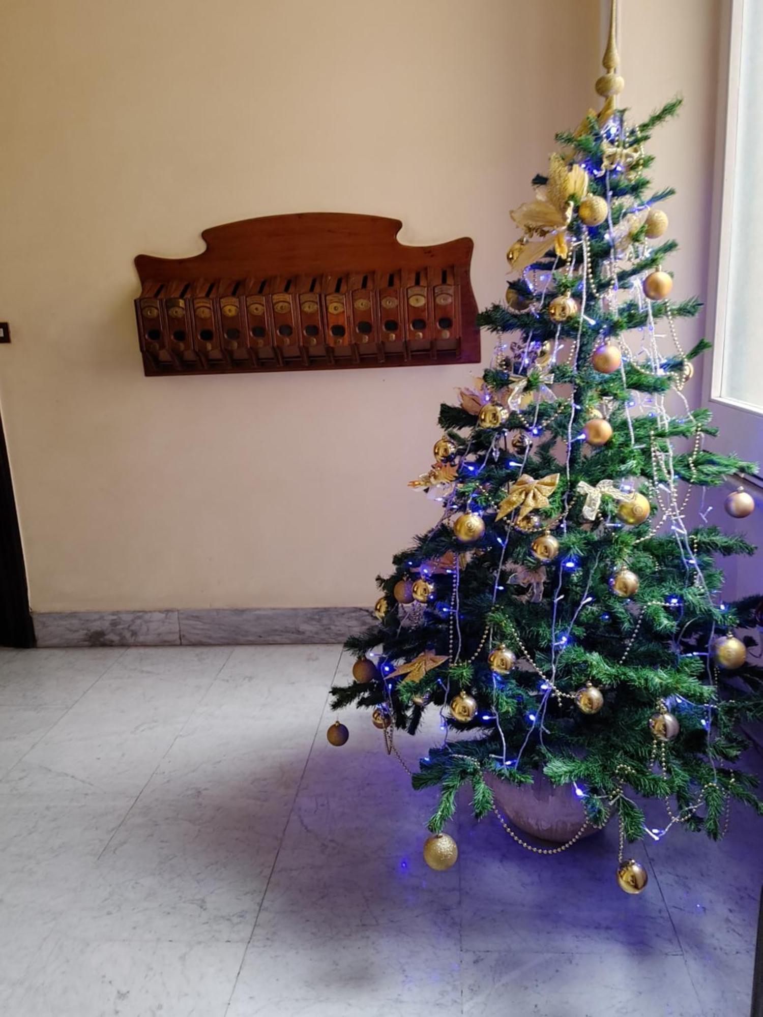 Studio Flat Trastevere 罗马 外观 照片